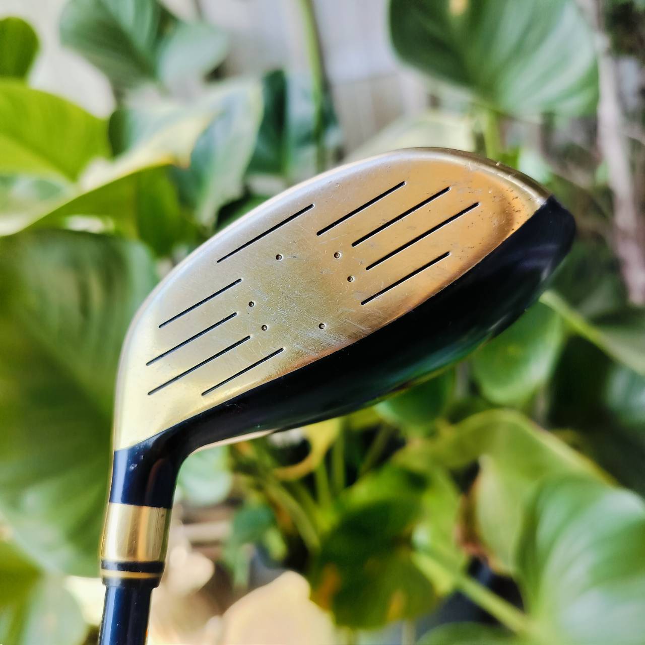 FW5 G TOUR GOLD PLATE GEAR VICTORY MARAGING เป็นสุดยอดหัวไม้พรีเมี่ยมญี่ปุ่น หน้าเด้งวัสดุ MARAGING ดีมากๆ ไม้กอล์ฟพรีเมี่ยมมือสอง ของแท้ By NakaraLuxurious