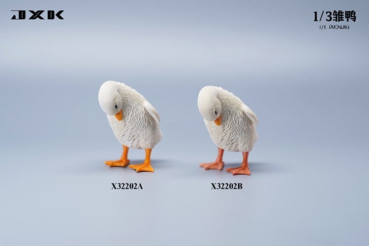 [สั่งจอง]JXK : Scottish Fold/Chckling/Duckling