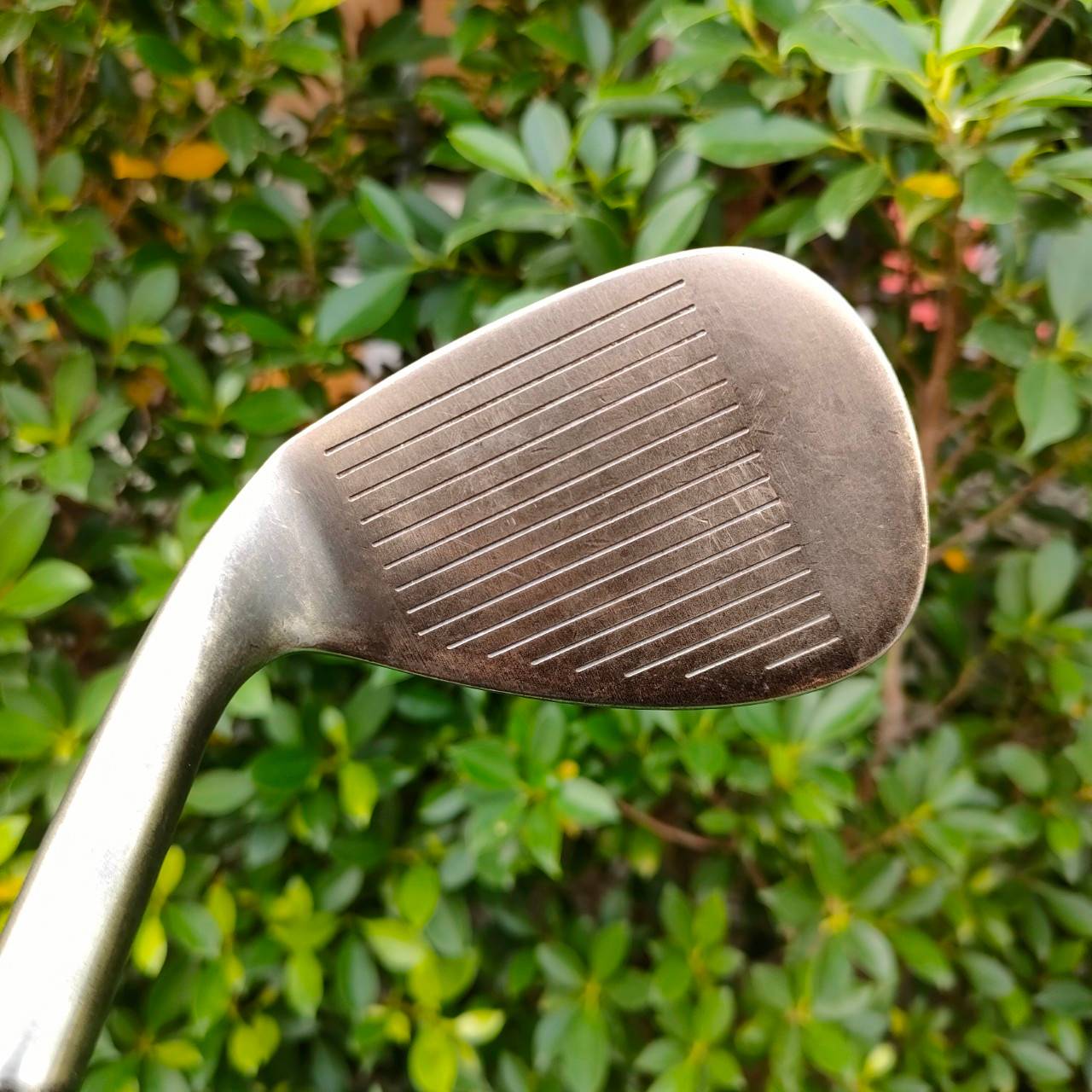 WEDGE SPINER CL PREMIUM องศา 52 BOUNCE 08 ก้าน N.S.PRO ZELOS 7 FLEX WEDGE แค่ราคาก้านก็คุ้มสุดๆแล้วครับ สปินจัดชัดจริงสุดพรีเมี่ยมครับ