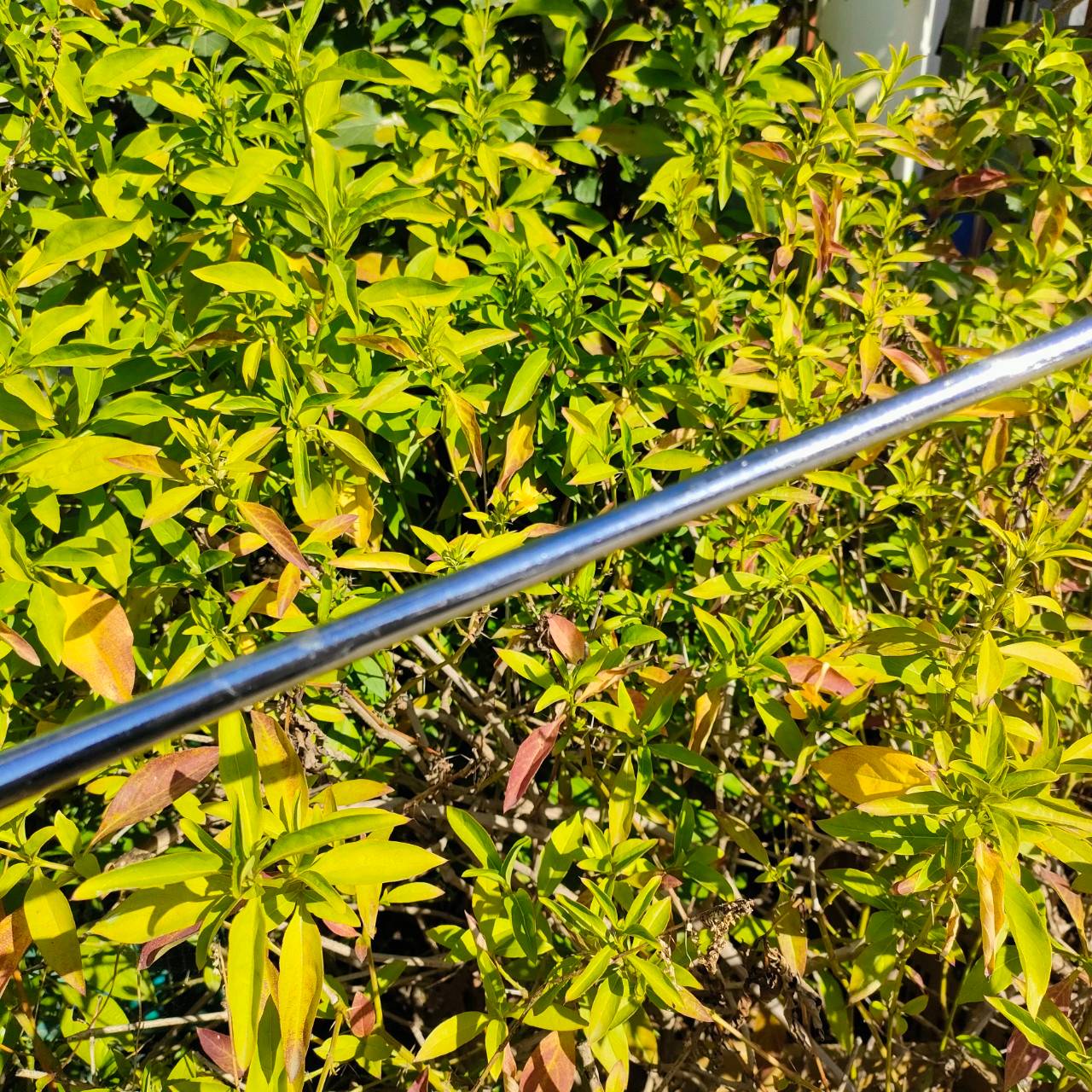 PUTTER TAYLORMADE ROHO II ความยาว 35 นิ้ว รุ่น VINTAGE ยอดนิยม ก้าน TAYLORMADE