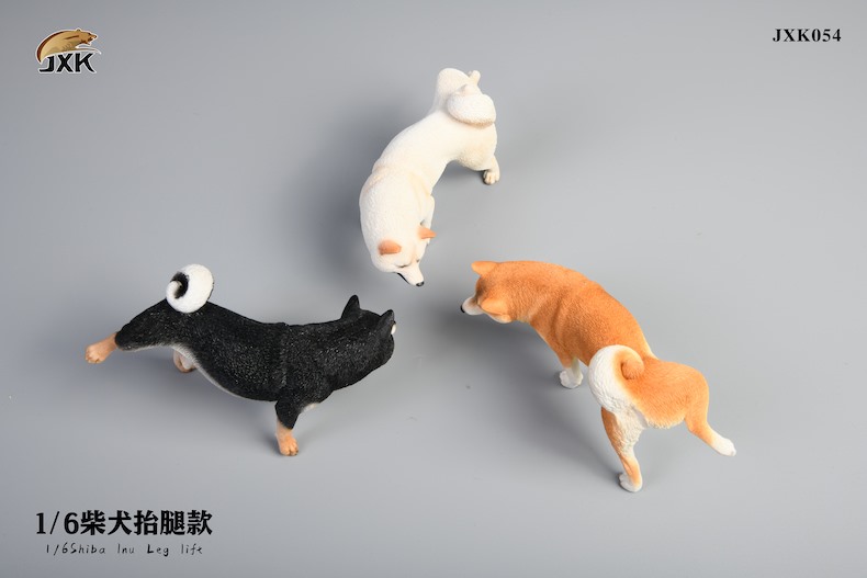 [สั่งจอง]JXK studio 1/6 : Shiba Inu