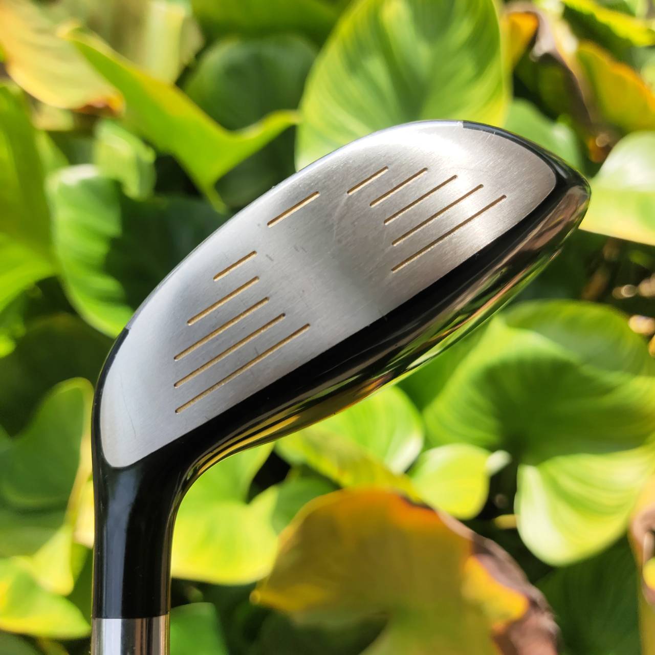 5W Katana Sword Sniper 589 5W ต้นตำหรับพรีเมี่ยมญี่ปุ่นตัวจริงเสียงจริง