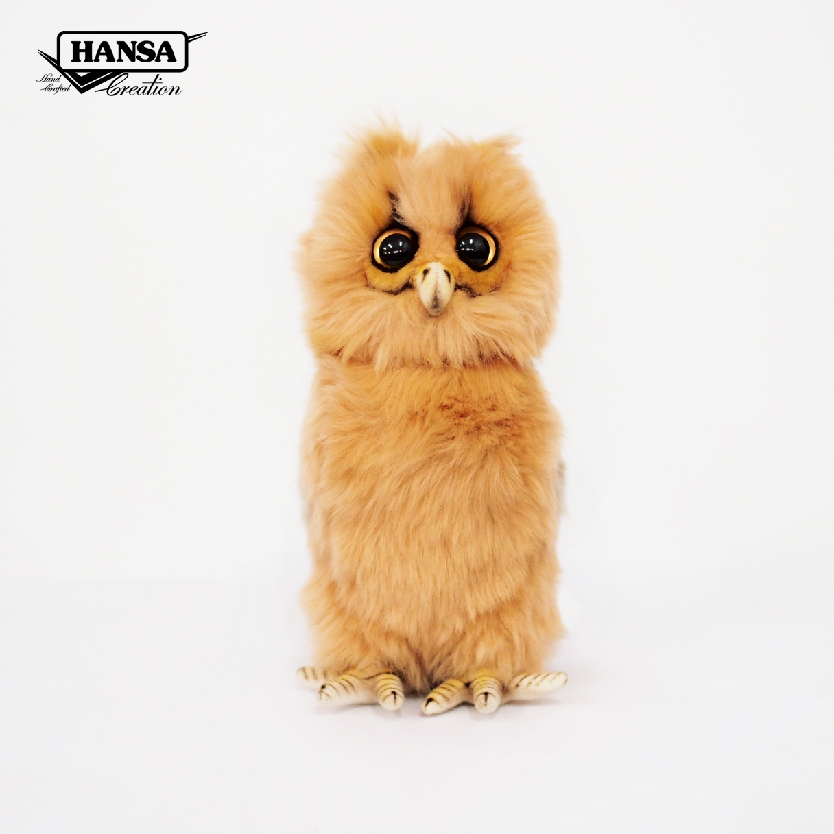 7931 Philippine Eagle Owl 22cm.H