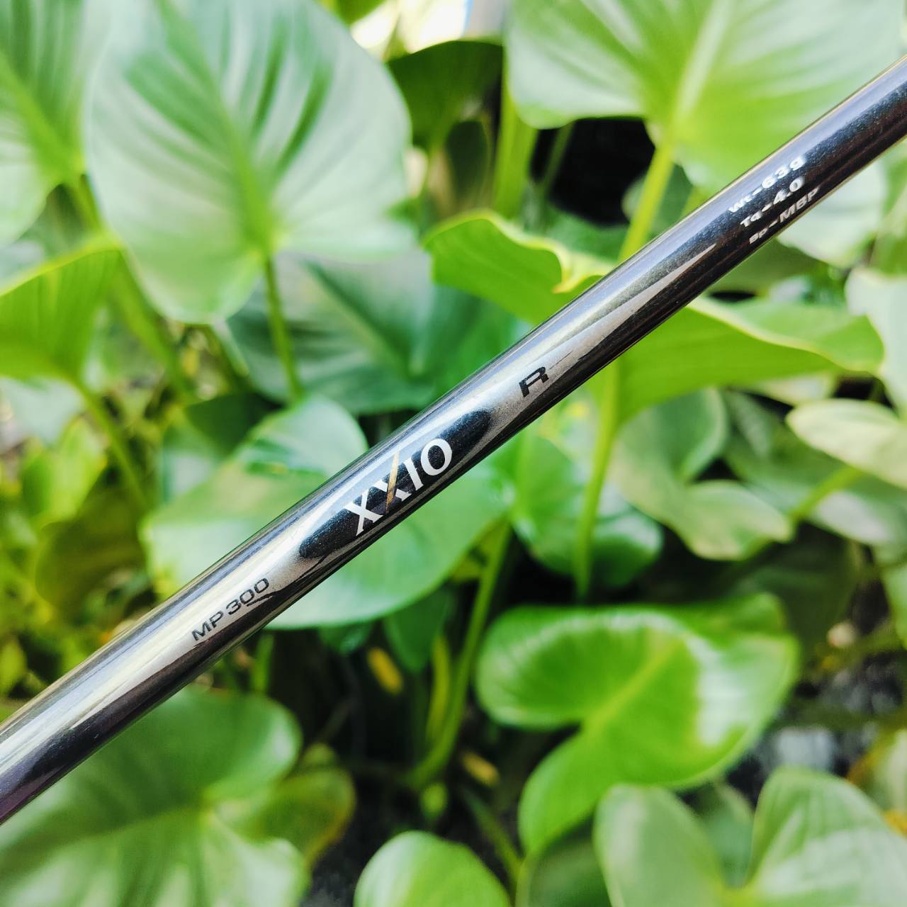 SW XXIO หน้าเด้ง!!! IMPACT POWER BODY ก้าน XXIO MP300 FLEX R สำหรับท่านที่สปีดน้อย ระเบิดทรายไม่ค่อยขึ้น ใช้ไม้นี้จะช่วยท่านระเบิดทรายง่าย ไม้กอล์ฟพรีเมี่ยมมือสอง ของแท้ By NakaraLuxurious