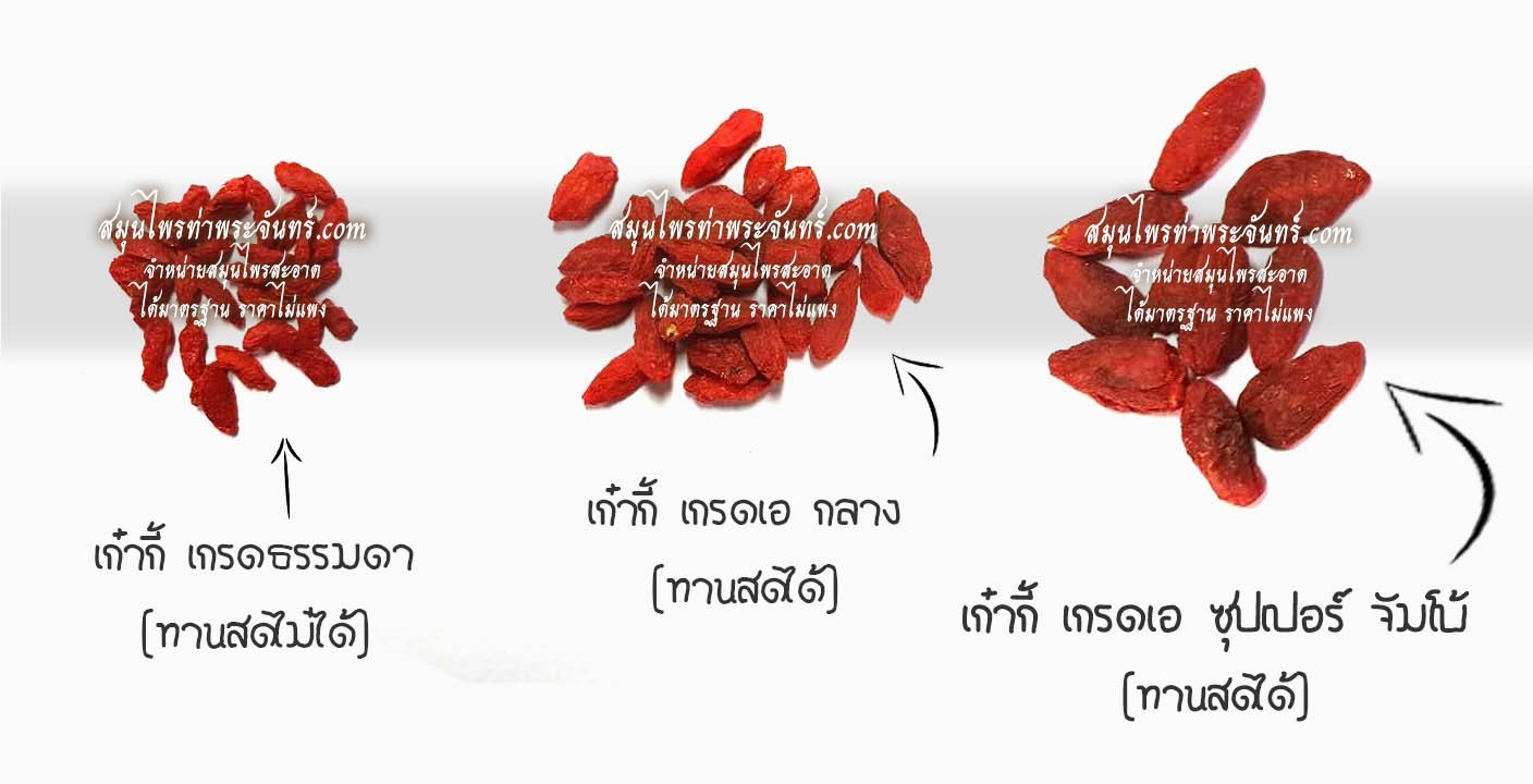 Dried Goji berry /Chinese Wolfberry