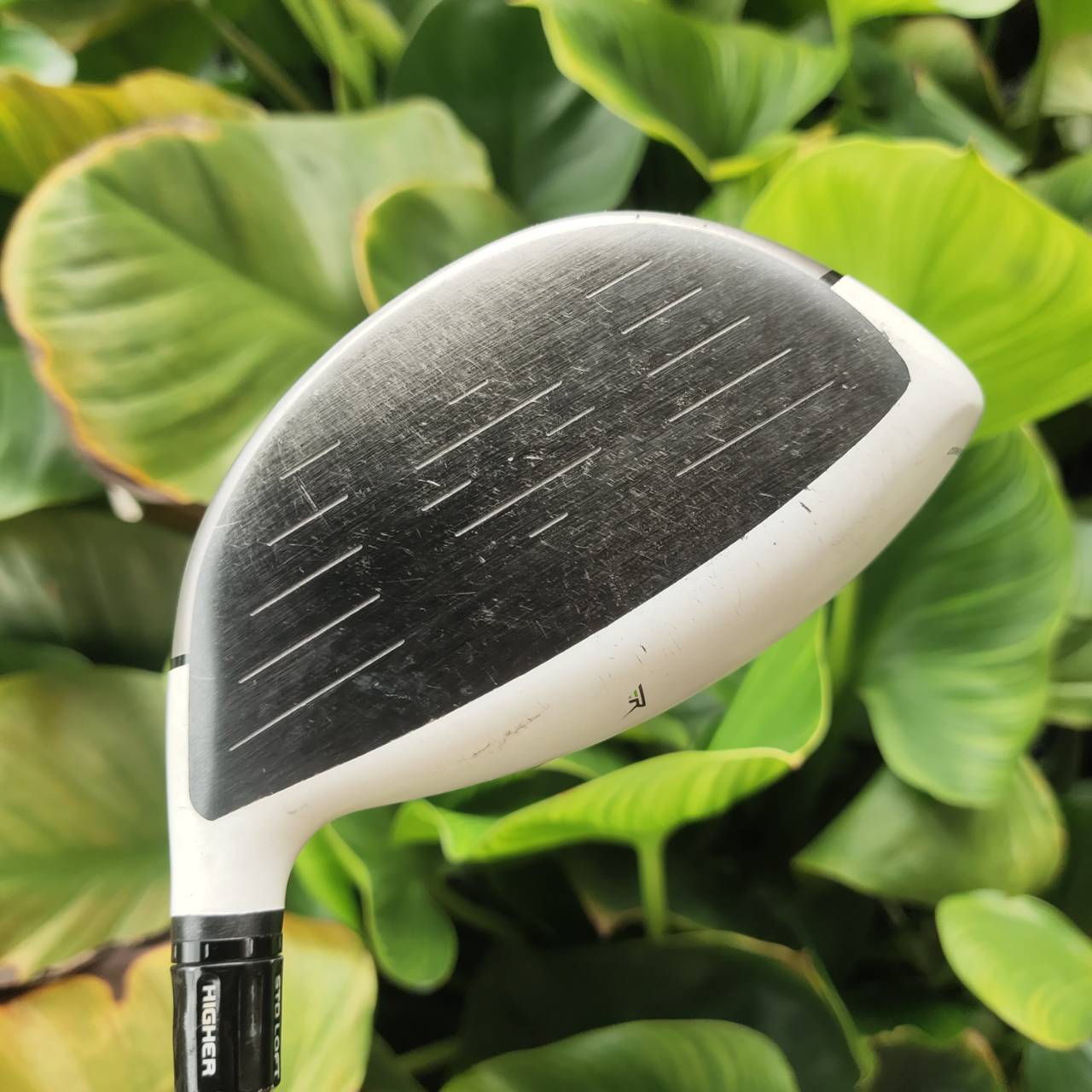 Driver Taylormade RBZ 10.5° ไดรเวอร์ตีไกล แน่น ลูกพุ่งไกลง่ายสุดๆ