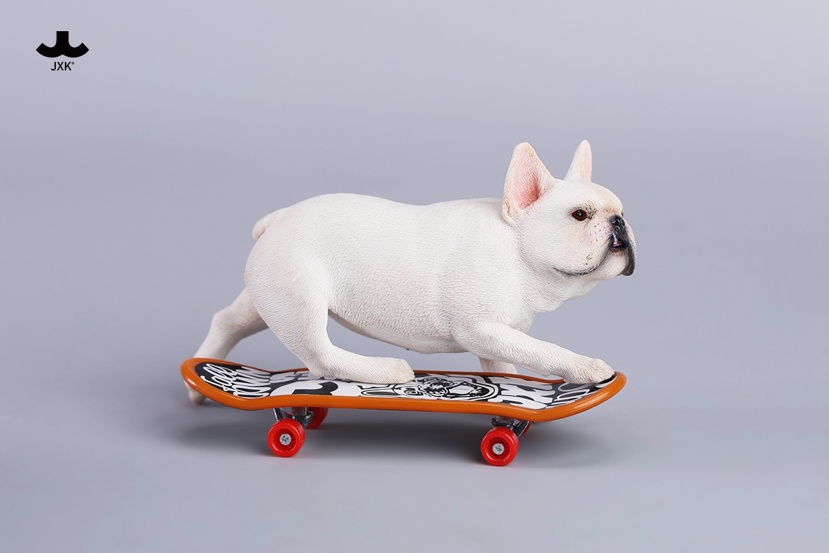 [สั่งจอง] JXK 1/6 : Skateboarding French Bulldog