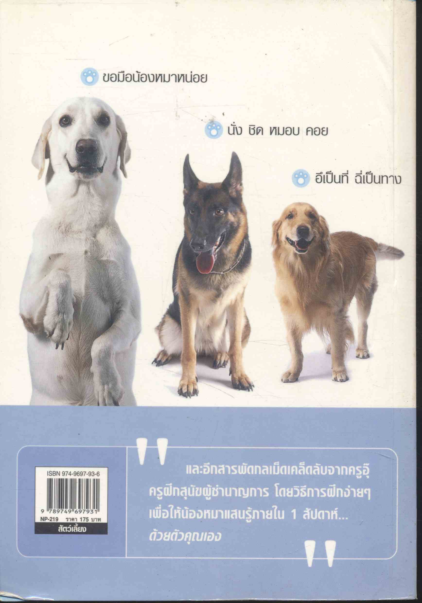 ง่ายแค่พริบตา ฝึกหมาให้แสนรู้