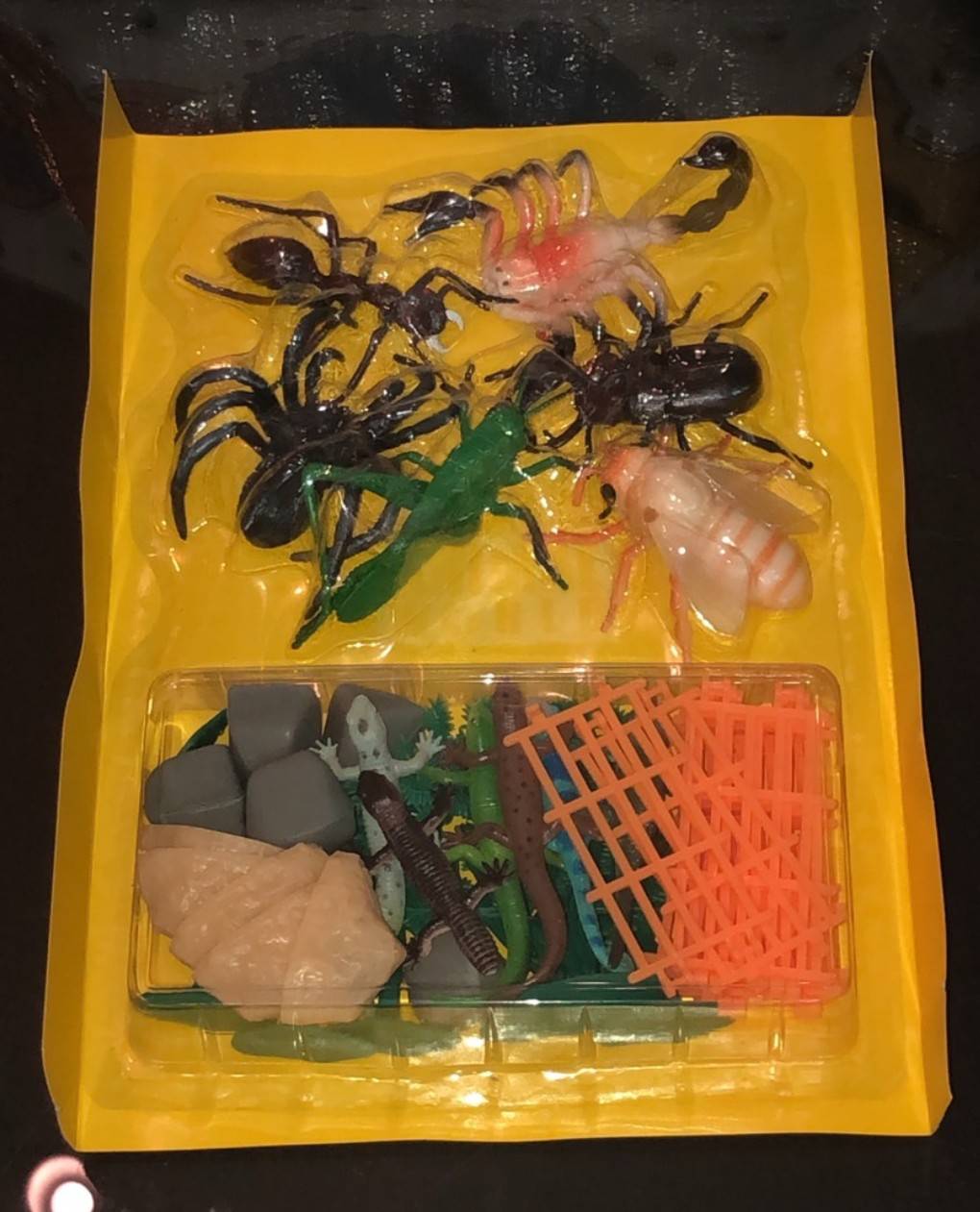 แมลงจำลอง, , ของเล่นเสริมพัฒนาการ, ของเล่นเด็ก, สื่อการสอน