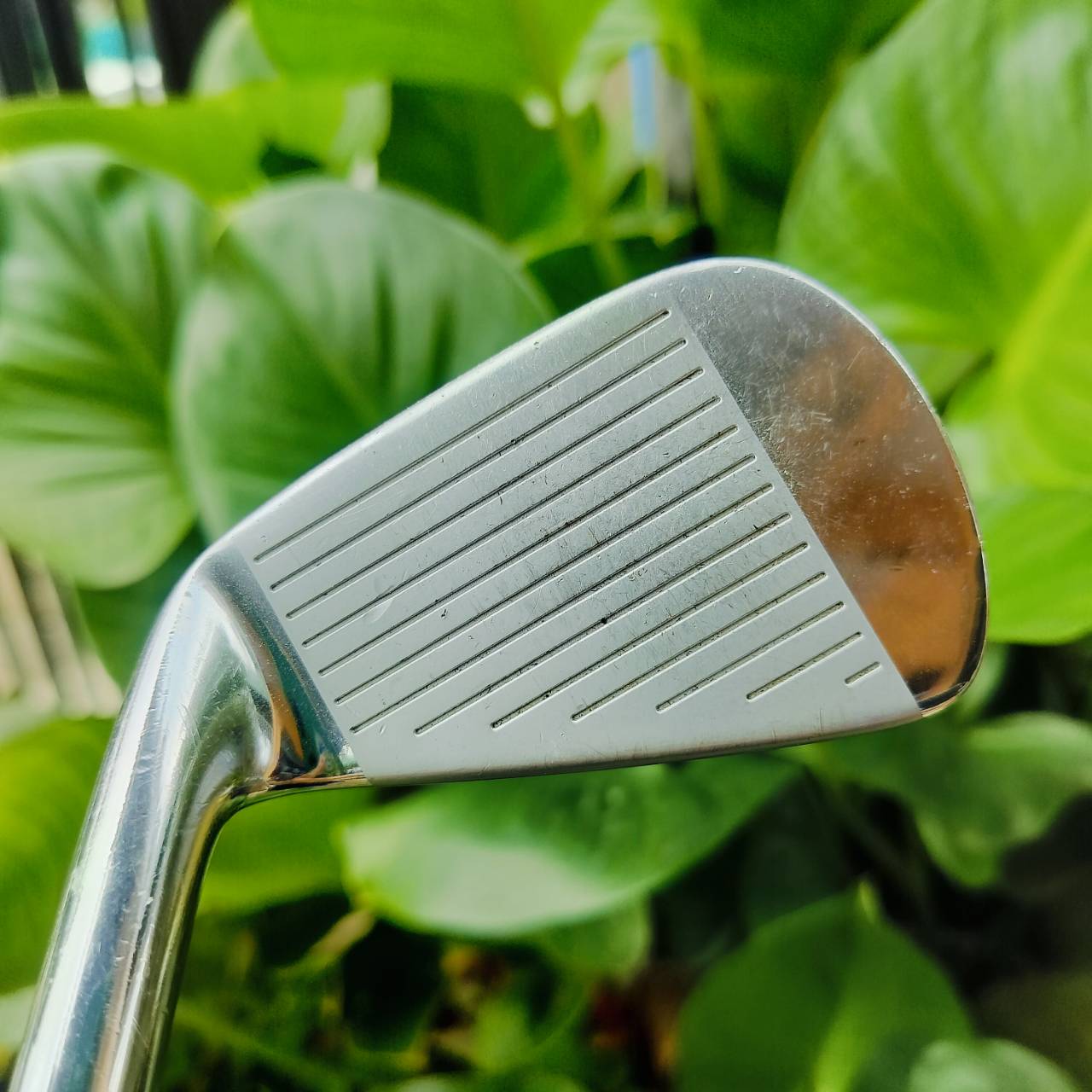 ชุดเหล็ก MIZUNO MP52 วัสดุ GRAIN FLOW FORGED สุดยอดเหล็ก FORGED ของญี่ปุ่น เอกสิทธิ์หนึ่งเดียวของ MIUNO มีเหล็ก 4 5 6 7 8 9 PW ก้าน DYNAMIC GOLD R300 ไม้กอล์ฟพรีเมี่ยมมือสอง ของแท้ By NakaraLuxurious