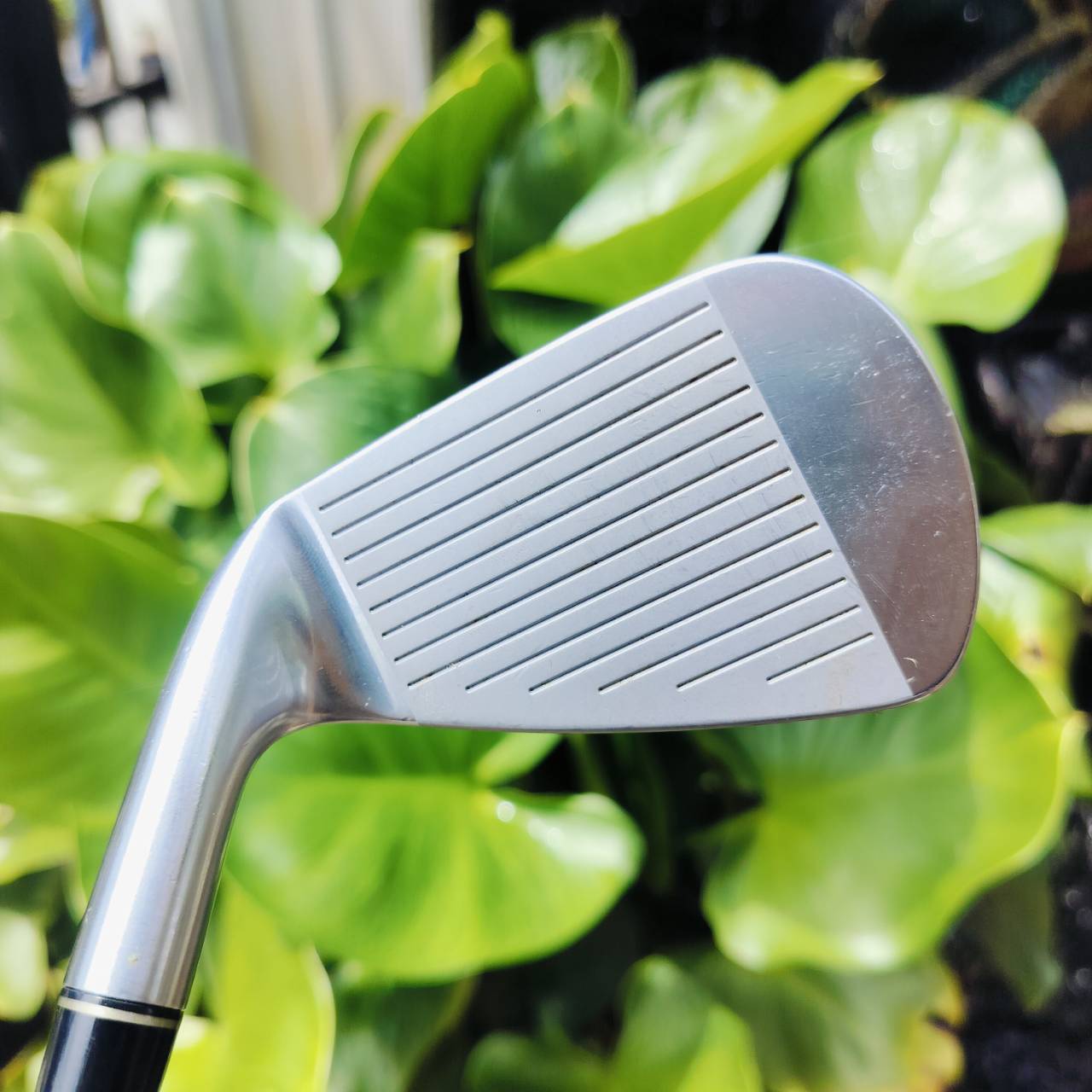 ชุดเหล็ก TOURSTAGE VIQ วัสดุ PREMIUM FORGED สวยจัด ตีนุ่มแบบจัดๆ และตีง่าย พรีเมี่ยมจริง มี CAVITY ช่วยให้ตีง่ายขึ้น และ ตีตรงอย่างมากเลยค่ะ แน่นๆ สปินดีด้วย ก้าน NS PRO V90 FLEX R เบา 90 กรัม ไม้กอล์ฟพรีเมี่ยมมือสอง ของแท้ By NakaraLuxurious