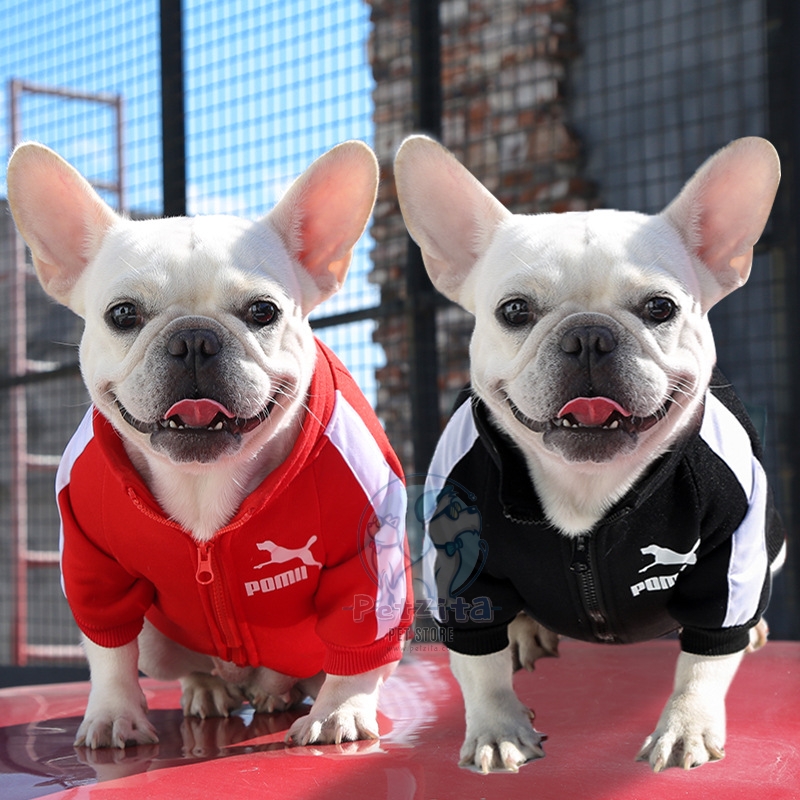 🇹🇭พร้อมส่ง🇹🇭 🔴⚫ 🐶🐱 เสื้อวอร์ม แนวสปอร์ต สุดเท่ห์ *มีไซส์ใหญ่ หมาอ้วน งานแบรนด์ ผ้านิ่ม for pet สุนัข หมา แมว