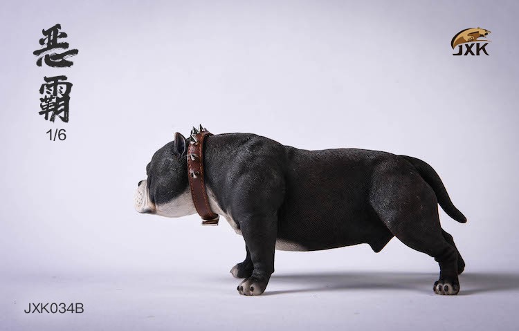 [สั่งจอง] JXK studio JXK034 A/B/C/D/E/F 1/6 : American Bully Pitbull Dog
