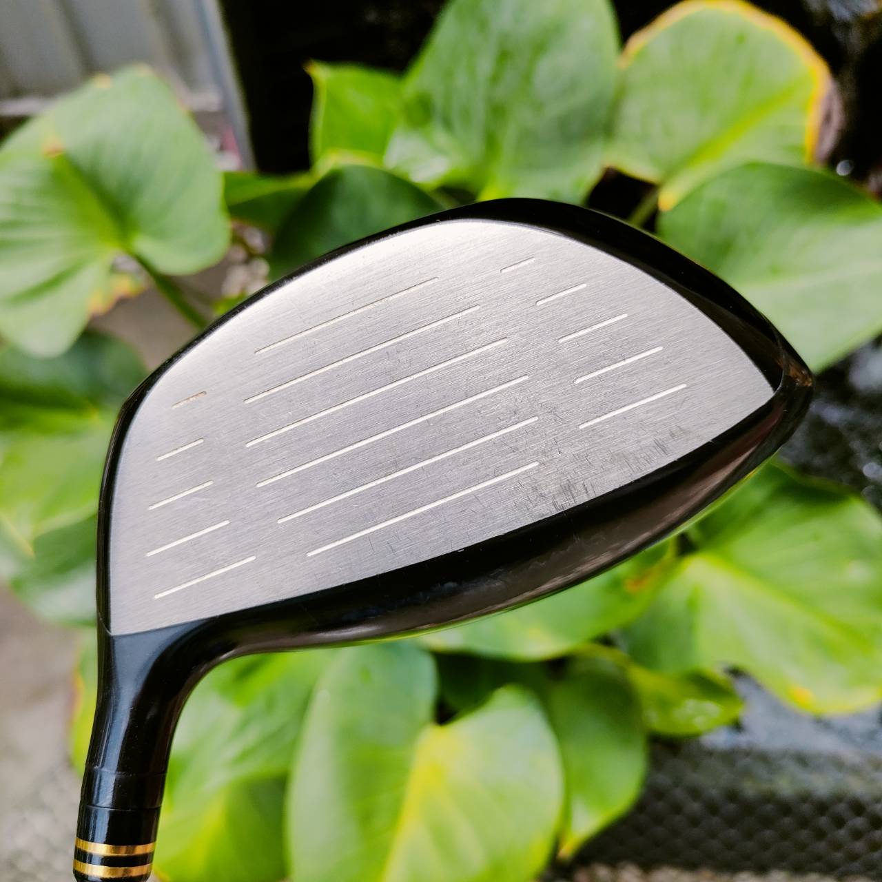 DRIVER MARUMAN CONDUCTOR LX460 องศา 10.5 ก้าน POWERTRANS X FLEX R Driver ตีไกลมันส์ๆ หัวใหญ่ 460 CC ตีง่าย ไม้กอล์ฟพรีเมี่ยมมือสอง ของแท้ By NakaraLuxurious