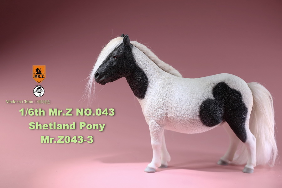 [สั่งจอง]น้องม้าน้อยโพนี่ 1/6 MR. Z Animal Model MRZ043 1/6th Shetland Pony(all 5 colors)