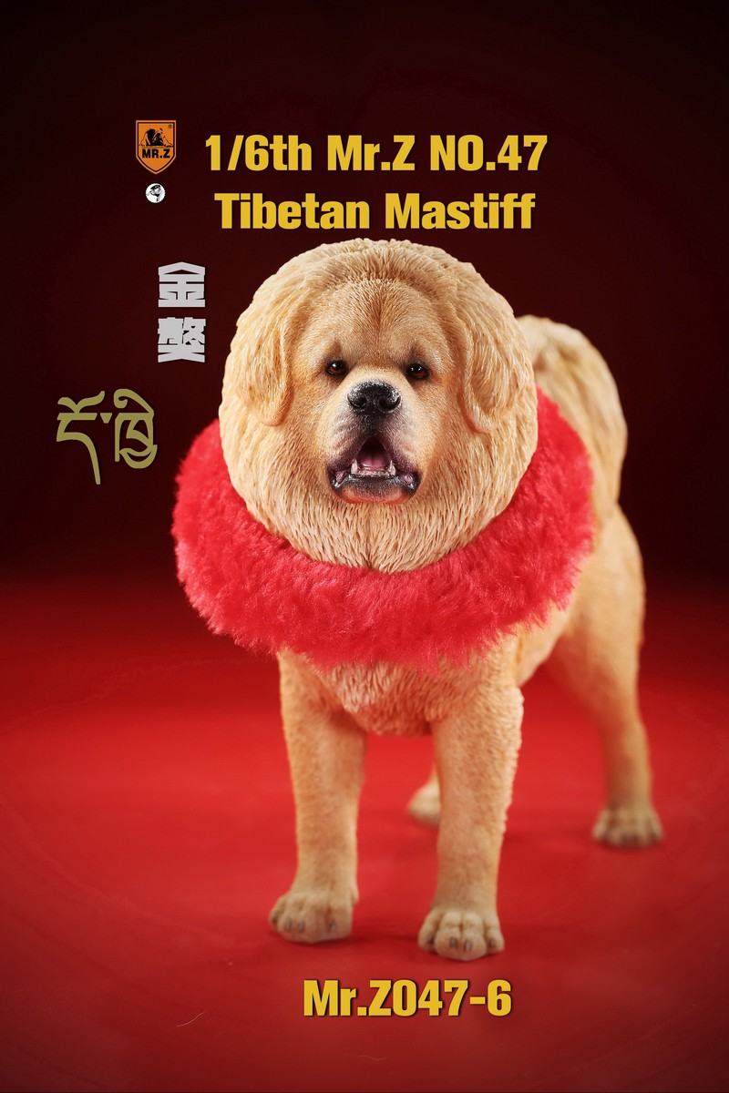 [สั่งจอง] MR. Z Animal Model MRZ047 1/6th Tibetan Mastiff