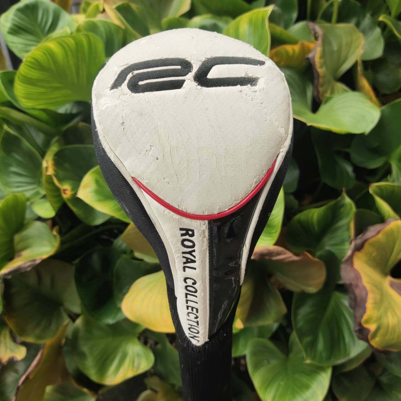 Driver ROYAL COLLECTION BBD'S 104T หนึ่งในหัวไม้ไดรเวอร์ระดับสุดยอดของญี่ปุ่น