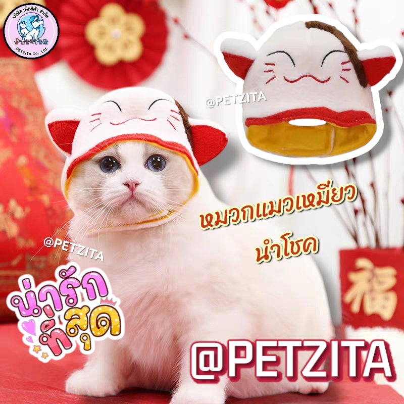 🇹🇭พร้อมส่ง🇹🇭 🧧💥❤️🎇🉐 หมวกสัตว์เลี้ยง หมวกตรุษจีน สุนัข หมา แมว สัตว์เลี้ยง