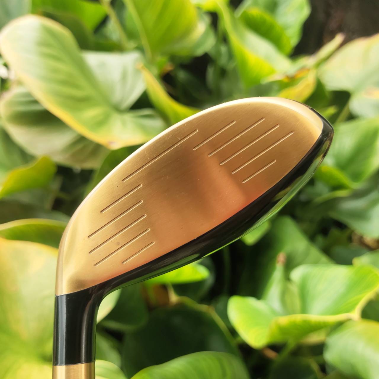 U5 QUELOT ROYAL EXCELLENCE Loft: 24° ก้าน UST MAMIYA ATTAS PUNCH 4R