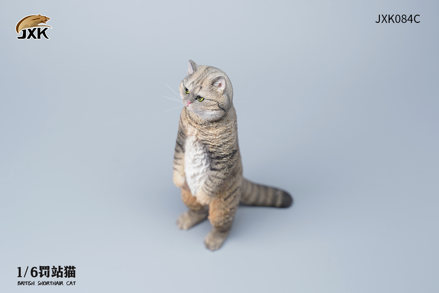 [สั่งจอง] JXK JXK084 1/6 : British Shorthair Cat