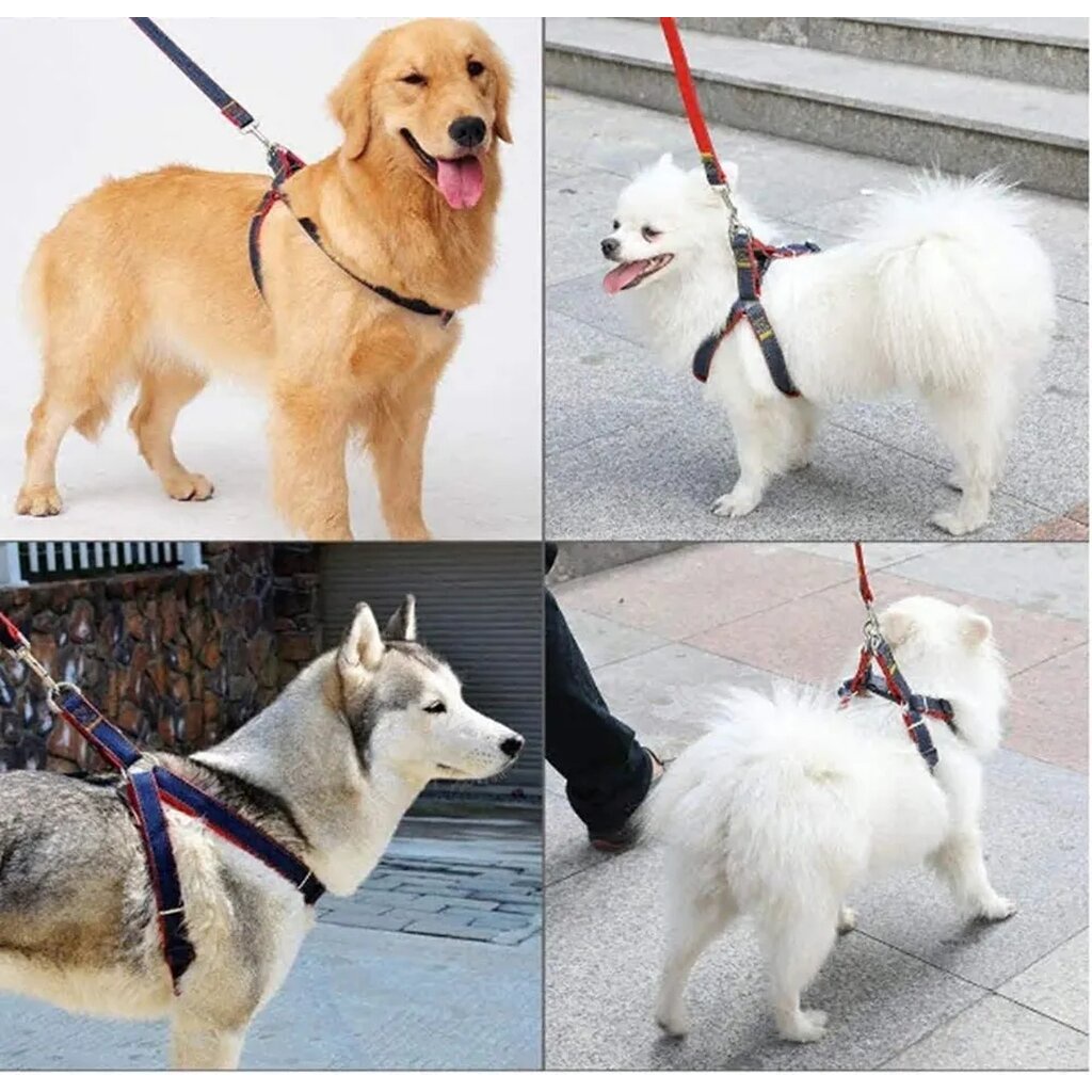🇹🇭พร้อมส่ง🇹🇭 รัดอกยีนส์ > สายรัดอกสุนัข +พร้อมสายจูง 120 cm (มีปลอกคอขายแยก) 🐶🐱 for pet สุนัข แมว หมาใหญ่
