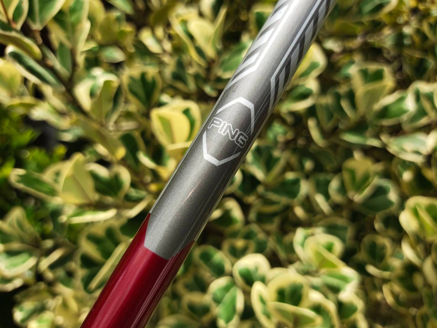 FW3 PING G15 องศา 15.5 ก้าน TFC 149 F FLEX R