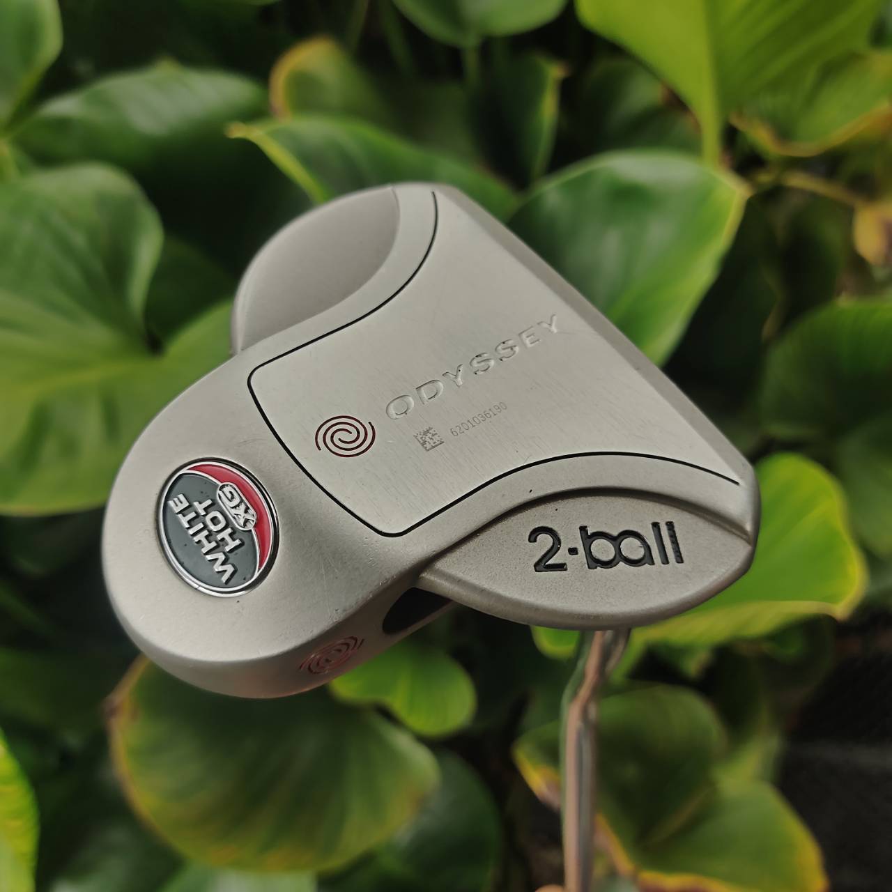 PUTTER ODYSSEY TWO-BALL WHITE HOT XG ฟีลนุ่มนวล ลายหน้าไม้ เกาะไลน์มาก