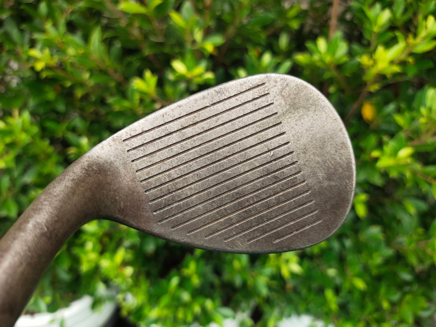 WEDGE CALLAWAY FORGED เนื้อเหล็กสวยมาก เป็นเหล็กสนิมครับ องศา 58