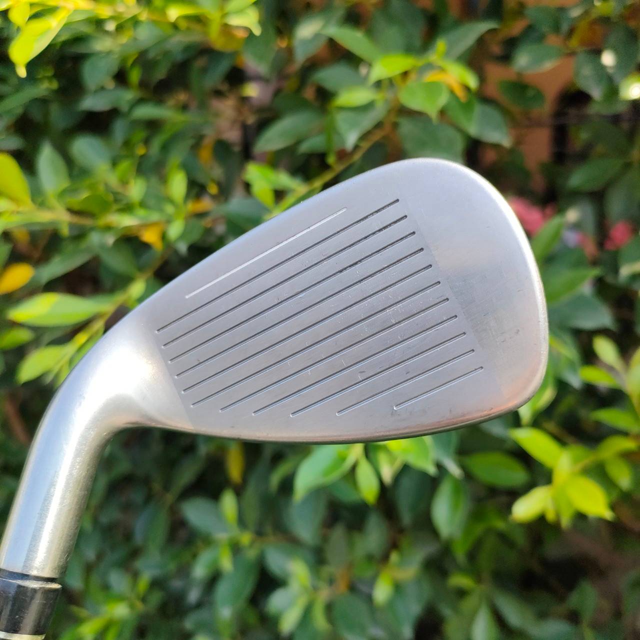 ชุดเหล็ก KING COBRA S2 MAX มีเหล็ก 5-9 เเละ PW SW GW ก้าน ALDILA DVS HL สุดยอดชุดเหล็กคุณภาพสุดๆ ตัทั้งง่ายมากๆๆ ระยะดีมาก MAX และก้านก็ของดีทั้งชุด Aldila