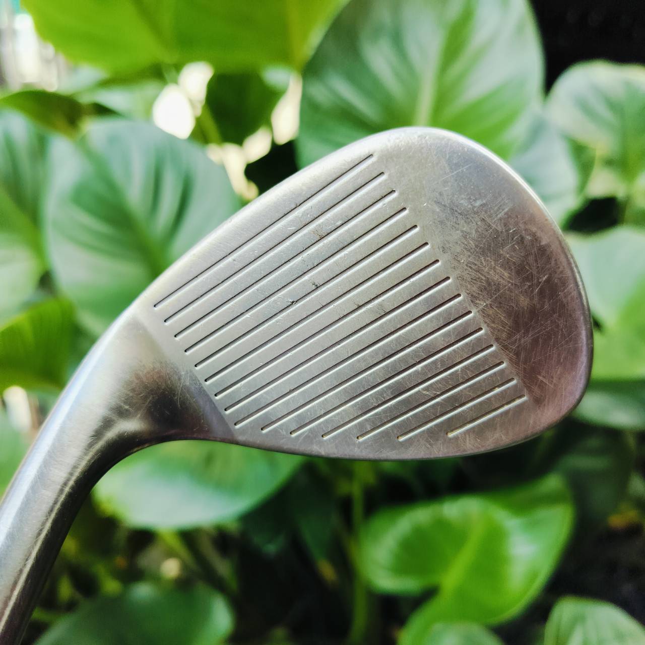 WEDGE CLEVELAND CG14 ZIP GROOVES ร่องสี่เหลี่ยม องศา 56 เบาท์ 14 ก้าน TRACTION FLEX WEDGE ร่องสี่เหลี่ยมเหมือนซิป กัดลูก ได้คมมาก โหดมาก ตกหยุดถอยหลัง ไม้กอล์ฟพรีเมี่ยมมือสอง ของแท้ By NakaraLuxurious