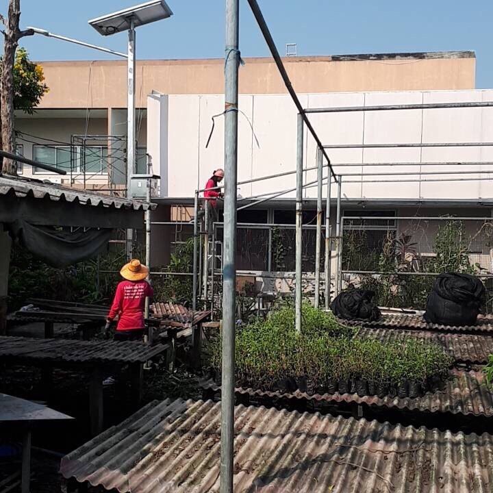 งานเรือนเพาะชำ กองทัพเรือ