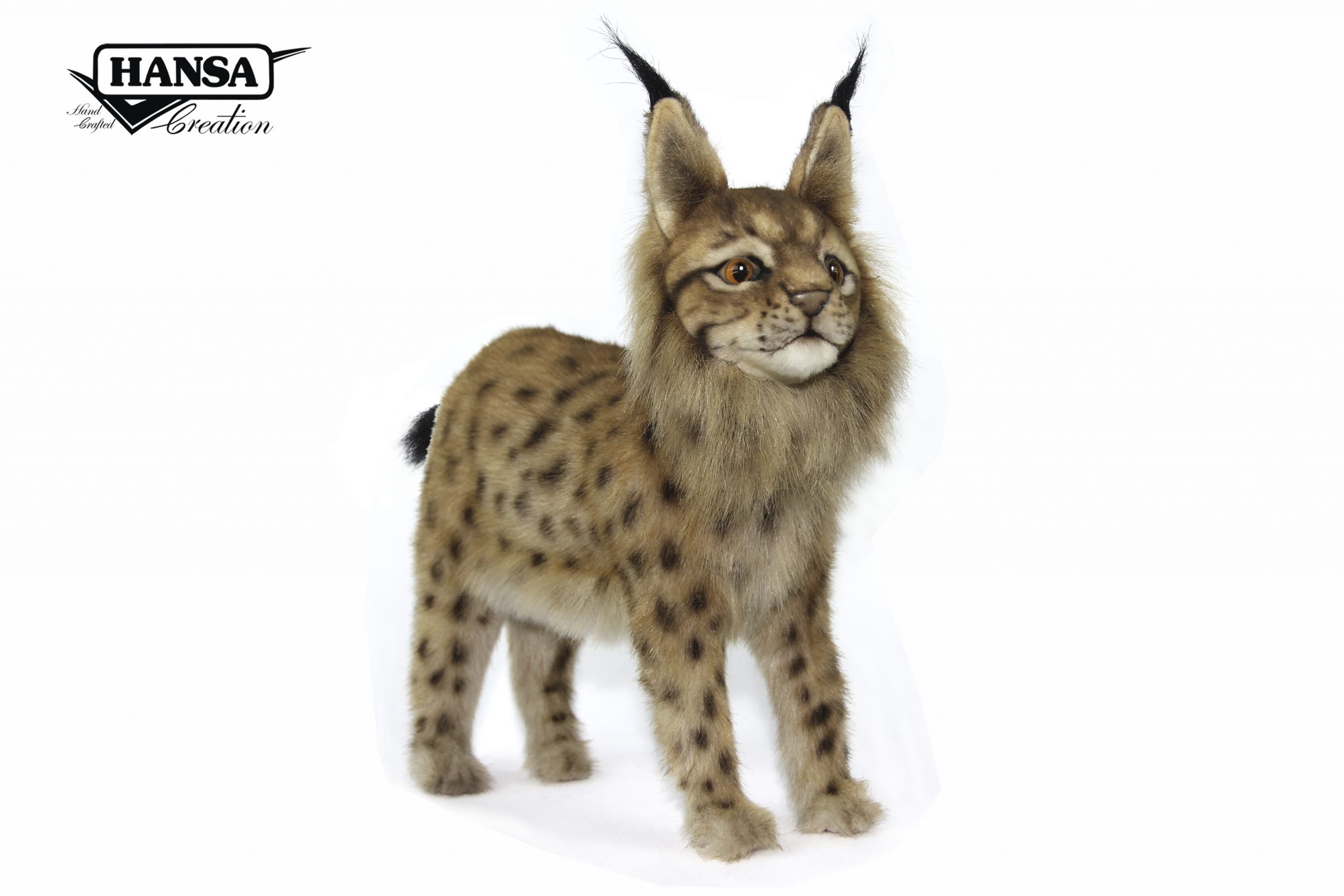 8070 Euresian Lynx Standing 33cm.L