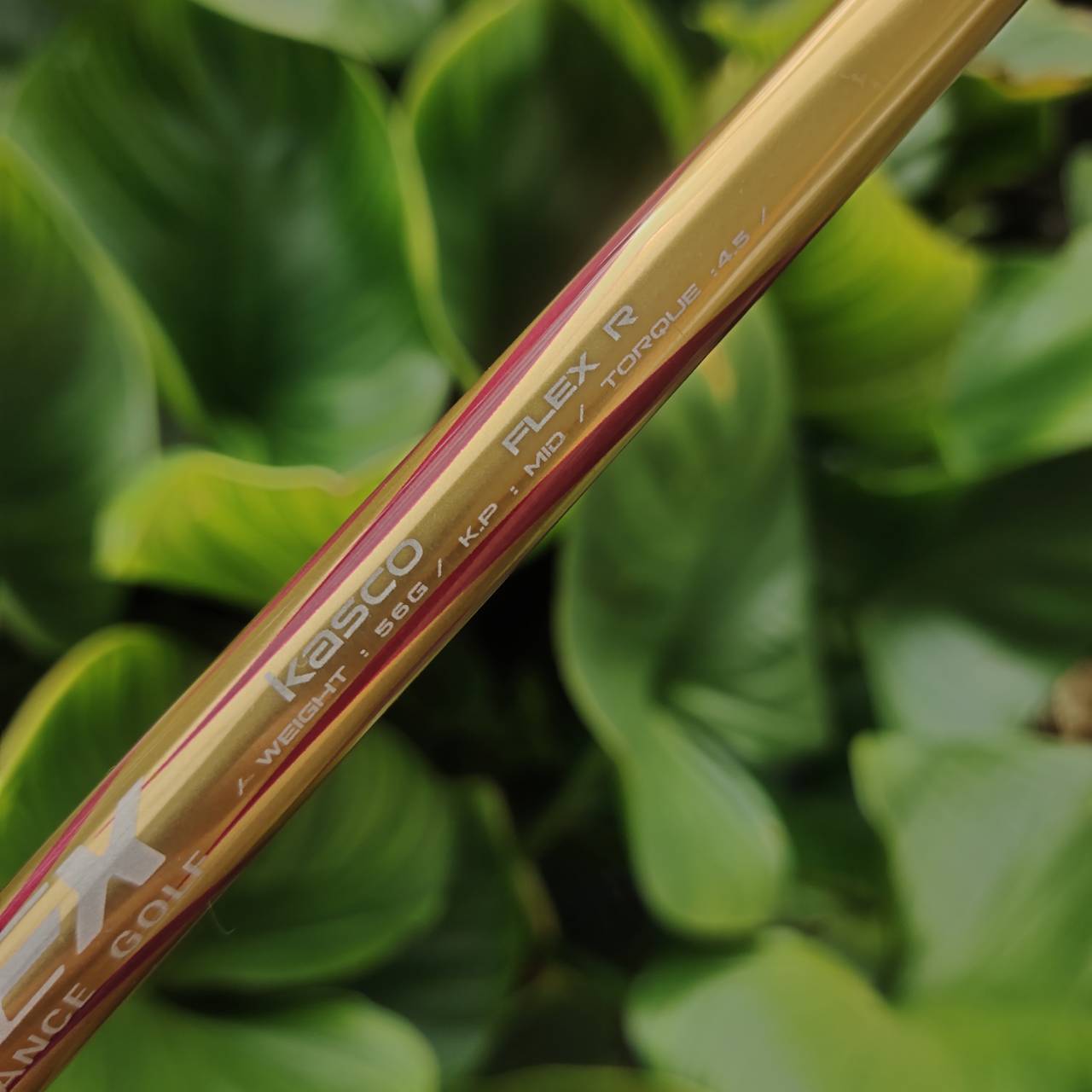 AW KASCO INDEED EX MARAGING!!! หน้าเด้งจัดๆ ตีง่ายมาก