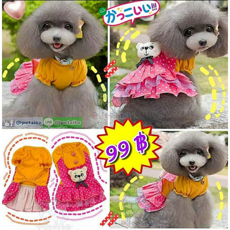 🇹🇭พร้อมส่ง🇹🇭 🥰👗 #เดรสติดตุ๊กตาหมี & #เสื้อสีส้มแขนตุ๊กตาและเอี๊ยมกระโปรงชมพูลายจุด สำเนา