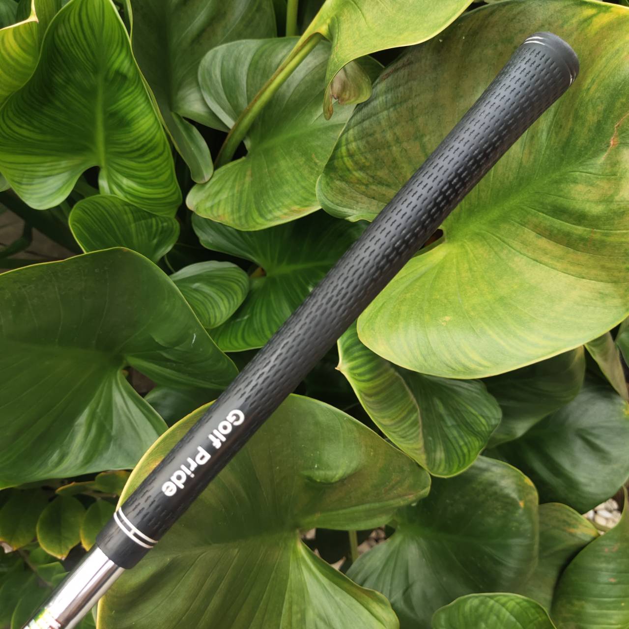 WEDGE Kasco Dolphin Wedge DW-116 วัสดุ FORGED หน้าตะไบสุดโหด ตกหยุดถอยหลัง