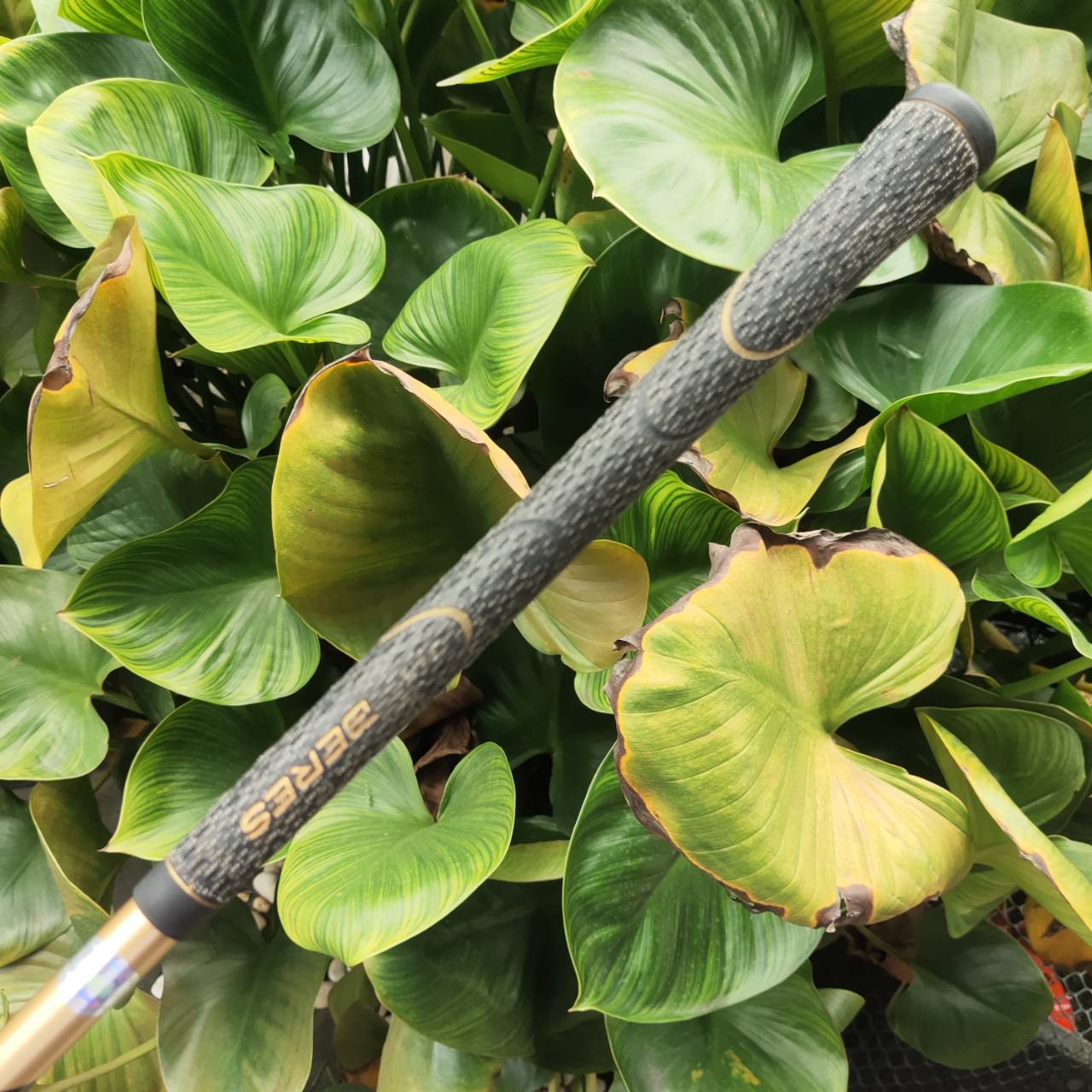 HONMA BERES MG712 5W (18°) ก้านเดิมแท้ ARMRQ B49 ★★★ (3 ดาว) MADE IN JAPAN SAKATA