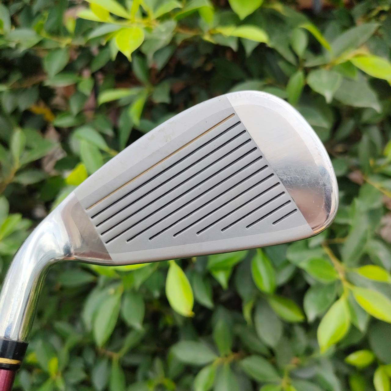 ชุดเหล็ก ENA มีเหล็ก 5-9 เเละ PW SW ก้าน ENA GOLDEN TITAN เหล็ก MADE IN JAPAN CAVITY ใหญ่ ตีง่ายมากๆๆๆ หน้า เด้ง ไทเทเนี่ยม ตีไกลสุดๆ