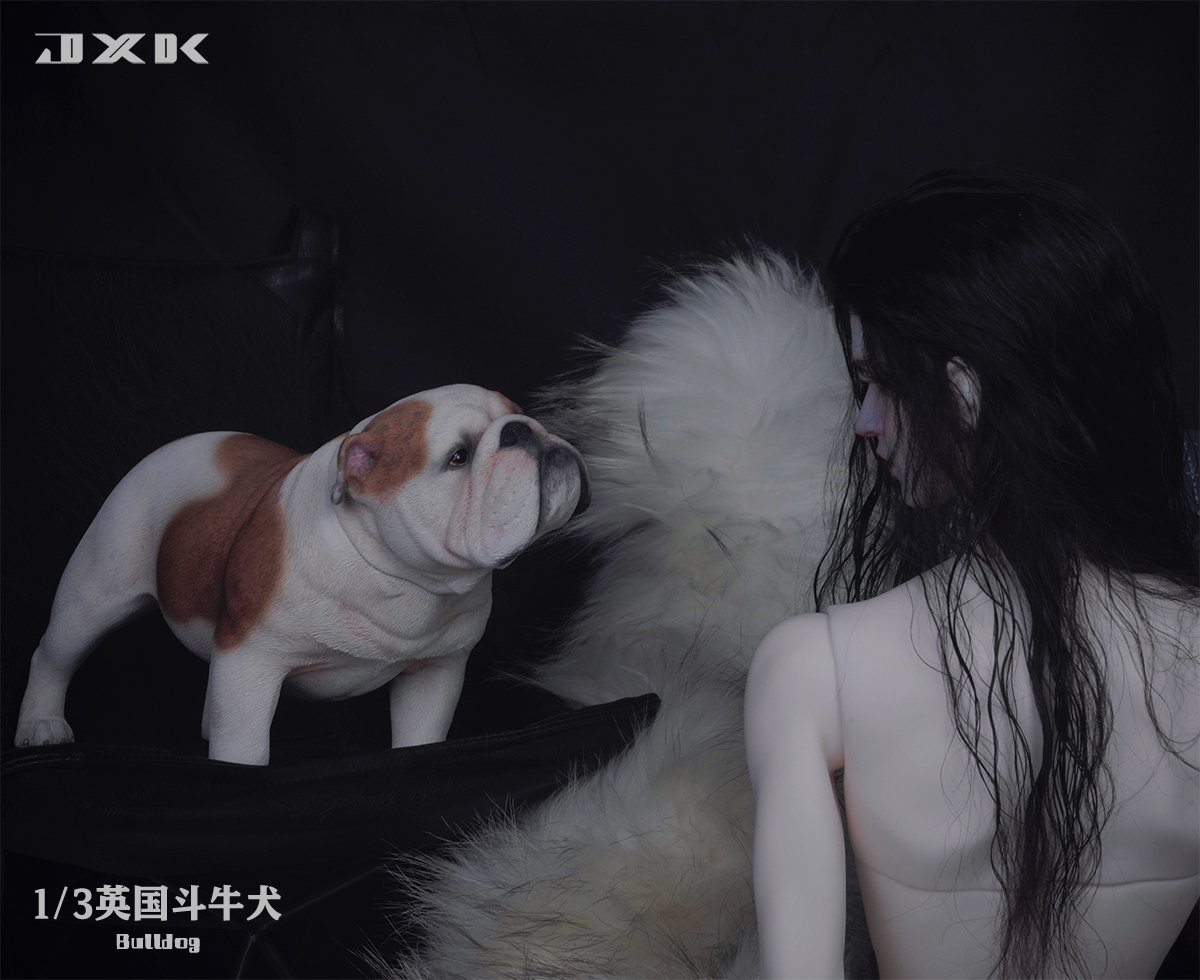 [สั่งจอง]JXK 1/3 X32203 : Bulldog