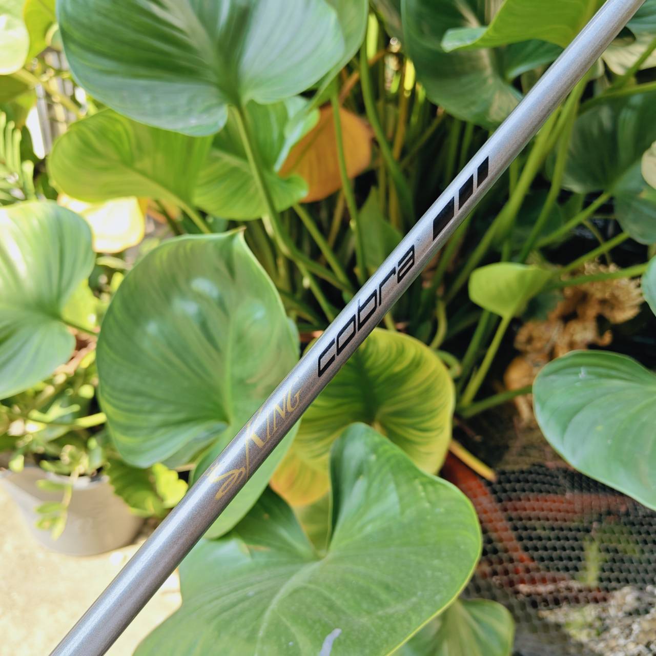 ชุดเหล็ก KING COBRA OVERSIZE ⛳ ครบเซตตีง่าย ฟีลนุ่ม เหมาะทั้งมือใหม่และผู้เล่นที่ต้องการความมั่นใจ!