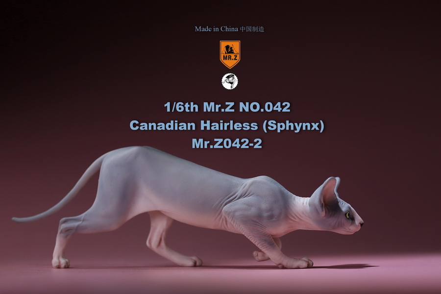 [สั่งจอง]แมวสฟิงก์ แมวน้อยขนกลับด้าน 1/6 Mr. Z Animal Model No.42: 1/6th Canadian Hairless (Sphynx)