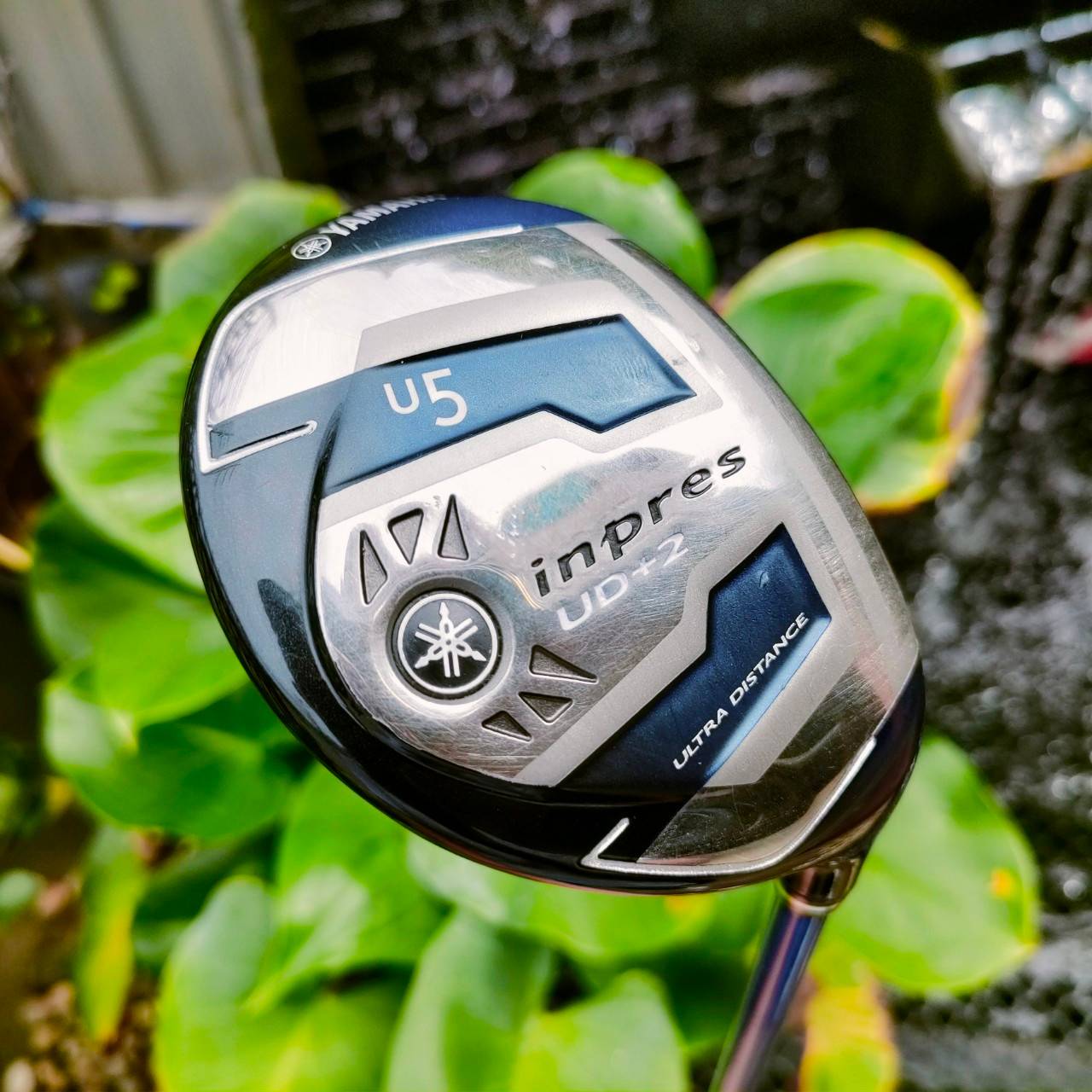 U5 Yamaha Inpres UD+2 ULTRA DISTANCE ตีไกลจริงๆ และตีโดนง่ายมากจนน่าตกใจค่ะ YAMAHA ของดีมากๆ ไม้กอล์ฟพรีเมี่ยมมือสอง ของแท้ By NakaraLuxurious