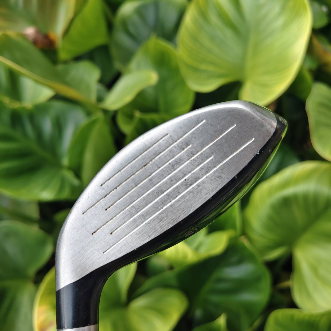 Hybrid 4 | TaylorMade r5 XL Plus Mid ดีไซน์ให้ใช้งานง่ายและเข้าลูกได้รวดเร็ว