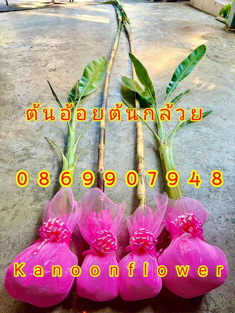 ต้นอ้อยต้นกล้วย (ขันหมาก)
