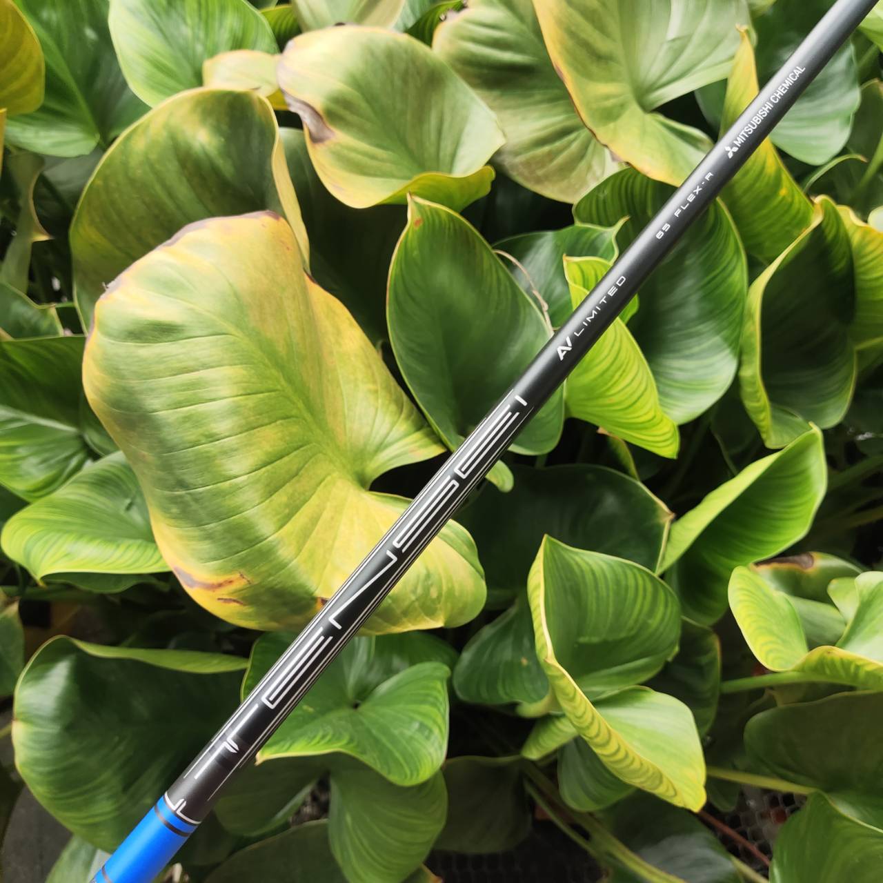 Driver XXIO X (10) ก้าน TENSEI AV LIMITED Flex R 🔥 ได้รางวัลอันดับ 1 ทุกสถาบันในประเทศญี่ปุ่น