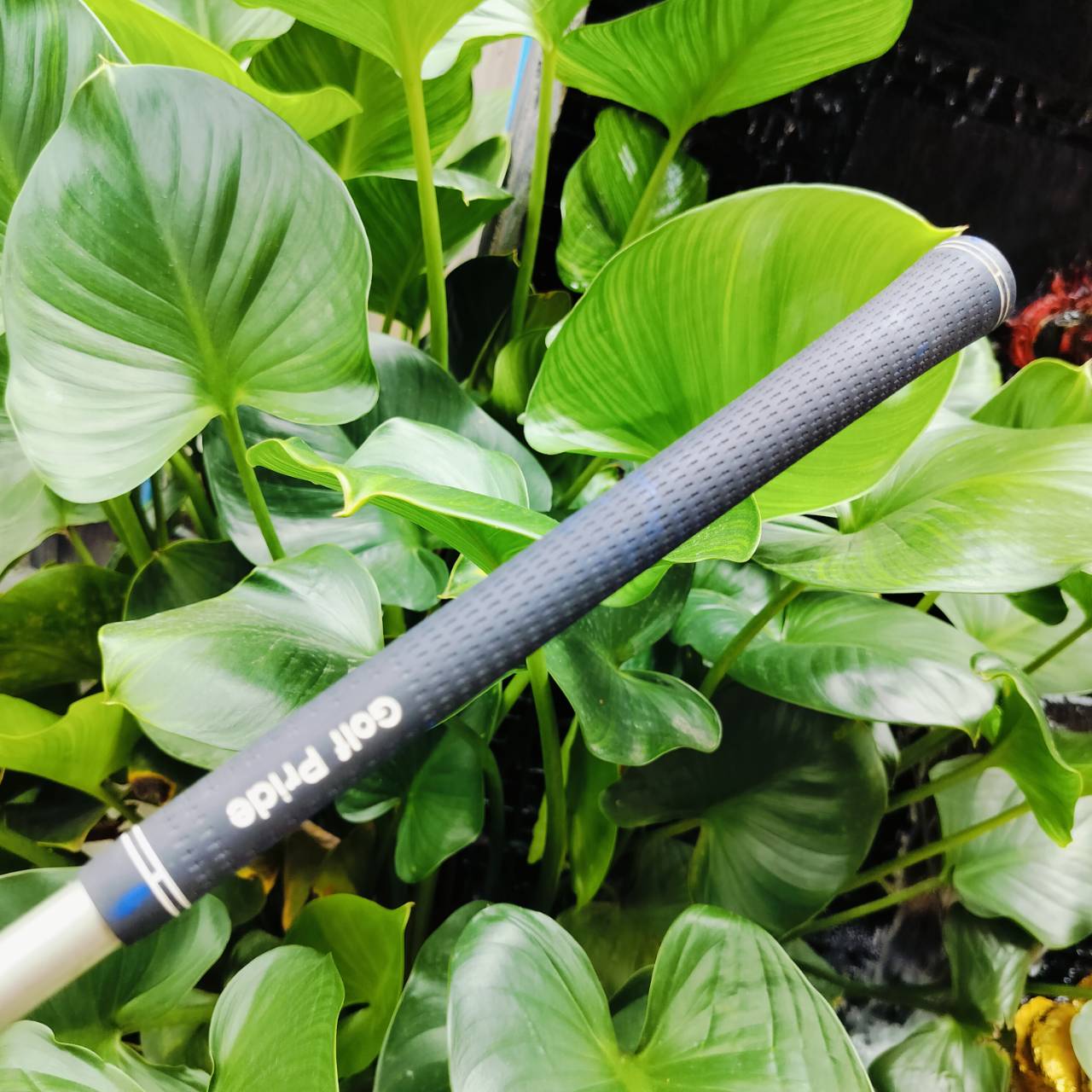 Driver TOBUNDA GT460 ก้าน FUJIKURA ROMBAX FLEX S แบรนด์ TOBUNDA เป็นแบรนด์ดังพรีเมี่ยม จากประเทศญี่ปุ่น ไม้กอล์ฟพรีเมี่ยมมือสอง ของแท้ By NakaraLuxurious