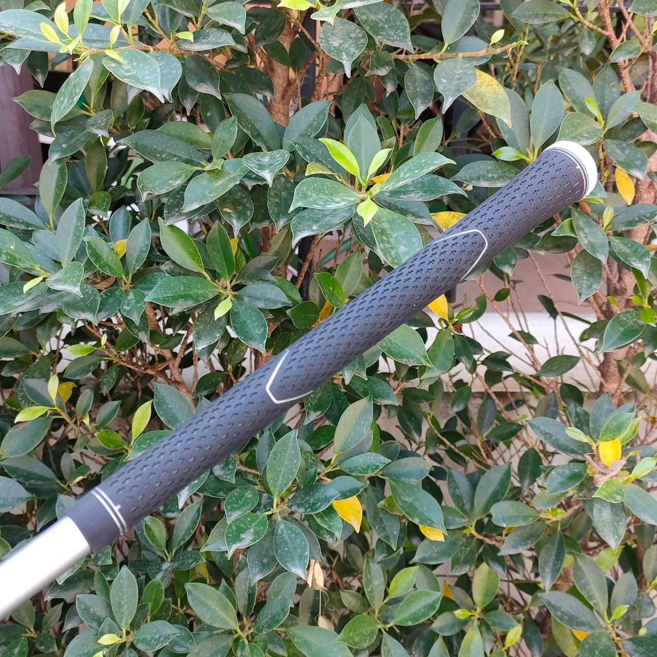 ชุดเหล็ก TAYLORMADE M GLOIRE RIBCOR HT มีเหล็ก 6-9 เเละ PW ก้าน FUJIKURA SPEEDER EVOLUTION FLEX R ทั้งชุด