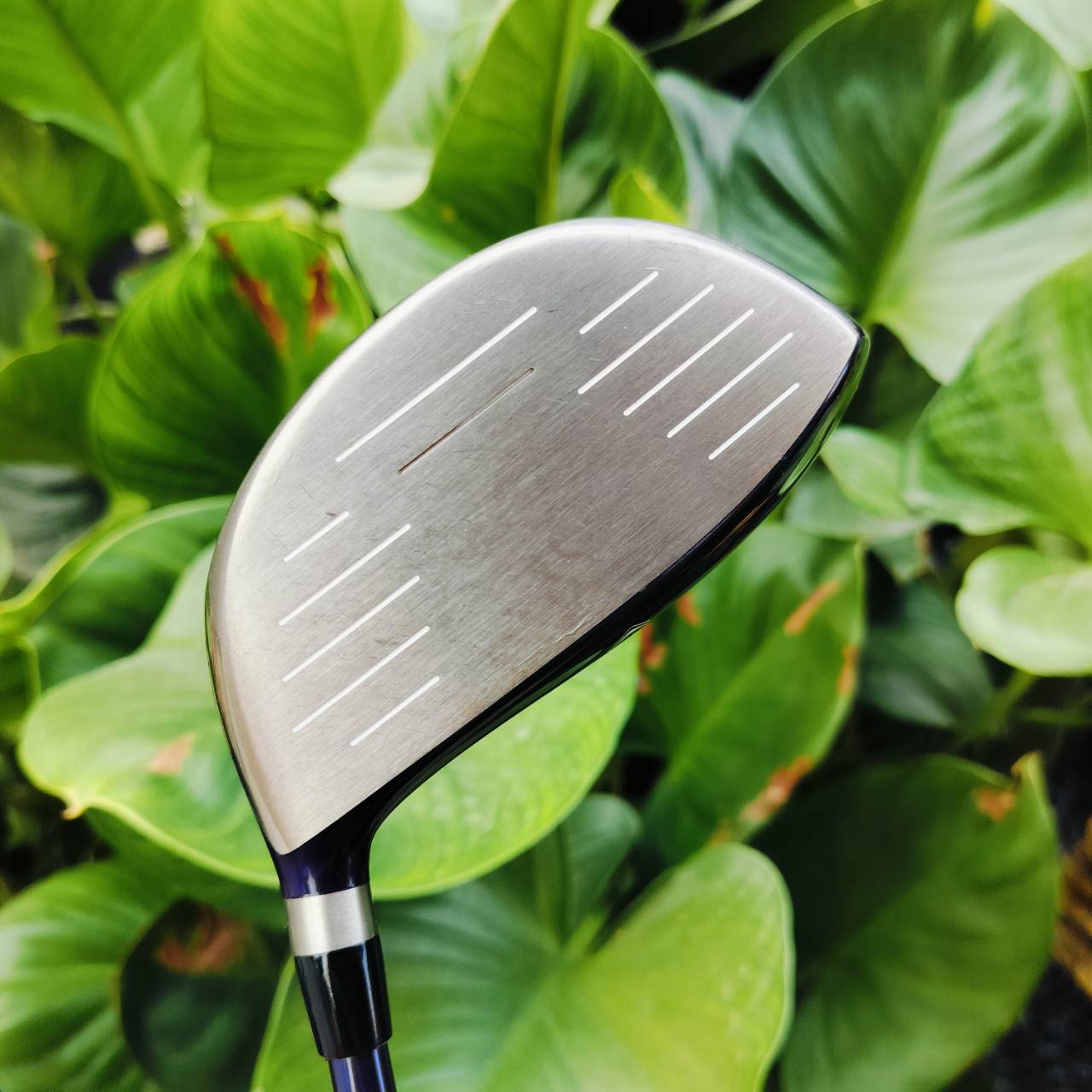 *** ไม้กอล์ฟสำหรับผู้หญิง *** Driver MIZUNO EFIL 7 ก้าน FLEX LADY ออกแบบมาเพื่อ คุณผู้หญิงเอเชียโดยเฉพาะ เบามาก หัวใหญ่ หน้าสวีทสปอตกว้าง ตีง่าย ไม้กอล์ฟพรีเมี่ยมมือสอง ของแท้ By NakaraLuxurious