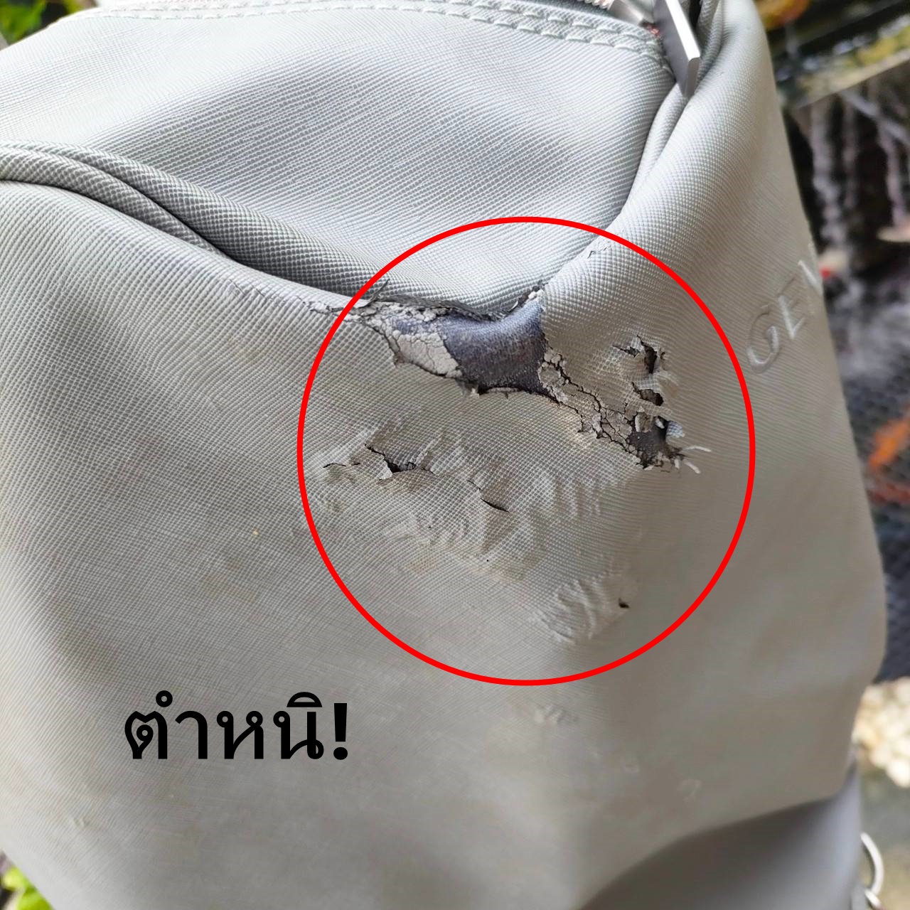 ถุงกอล์ฟ GENESIS มือสอง **COVER มีลอยขาด** ถุงกอล์ฟสภาพดีมากเดิมๆ ภายในบุกำมะหยี่อย่างดี ไม้กอล์ฟพรีเมี่ยมมือสอง ของแท้ By NakaraLuxurious