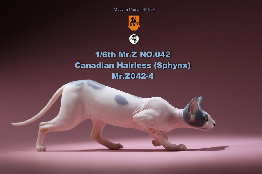 [สั่งจอง]แมวสฟิงก์ แมวน้อยขนกลับด้าน 1/6 Mr. Z Animal Model No.42: 1/6th Canadian Hairless (Sphynx)