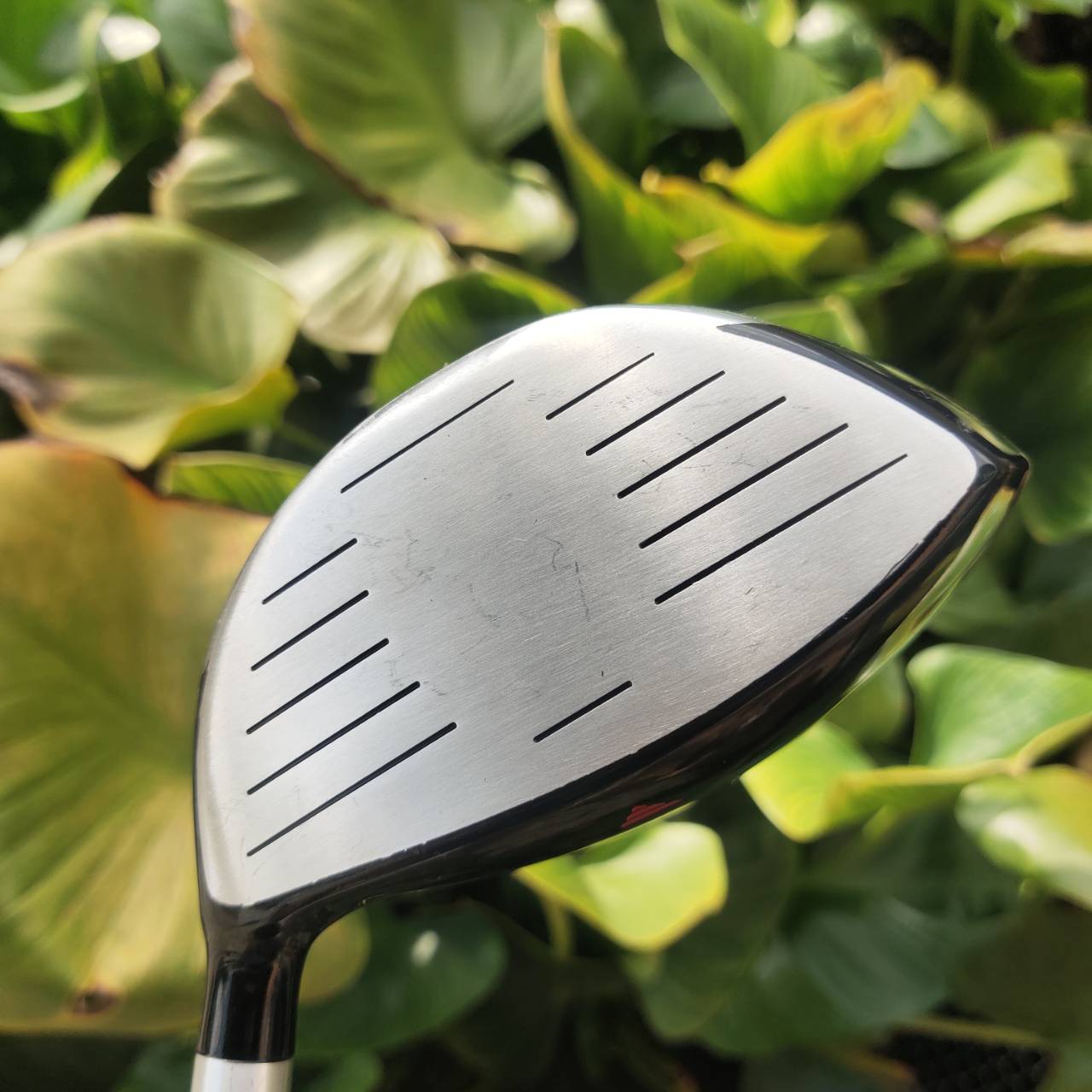 Driver PGM VCT3 จุด Sweet Spot กว้าง ตีแล้วมั่นใจ หน้าไม้รับลูกง่าย เสียงเพราะ